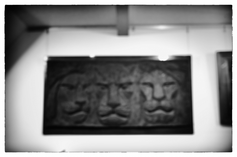 lion.jpg
